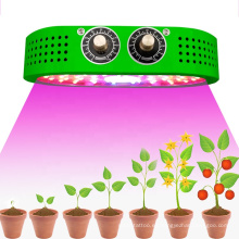 Lámpara de cultivo hidropónico interior COB LED de espectro completo de 1000 W, luz para crecimiento de plantas verdes, lámpara de bombillas LED